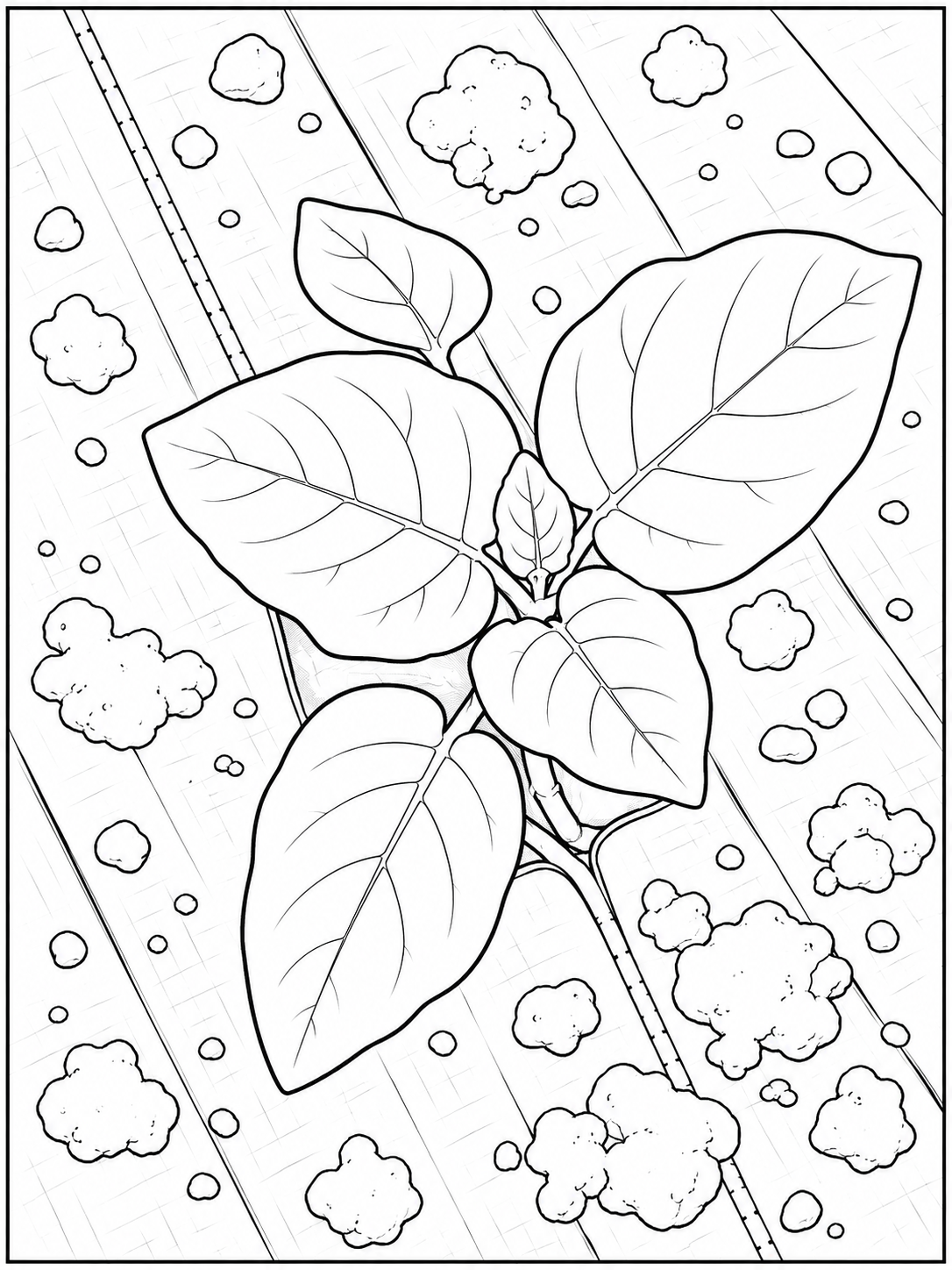 Coloring Card - #18 "Ground Cherry" - FREE WITH ANY ORDER