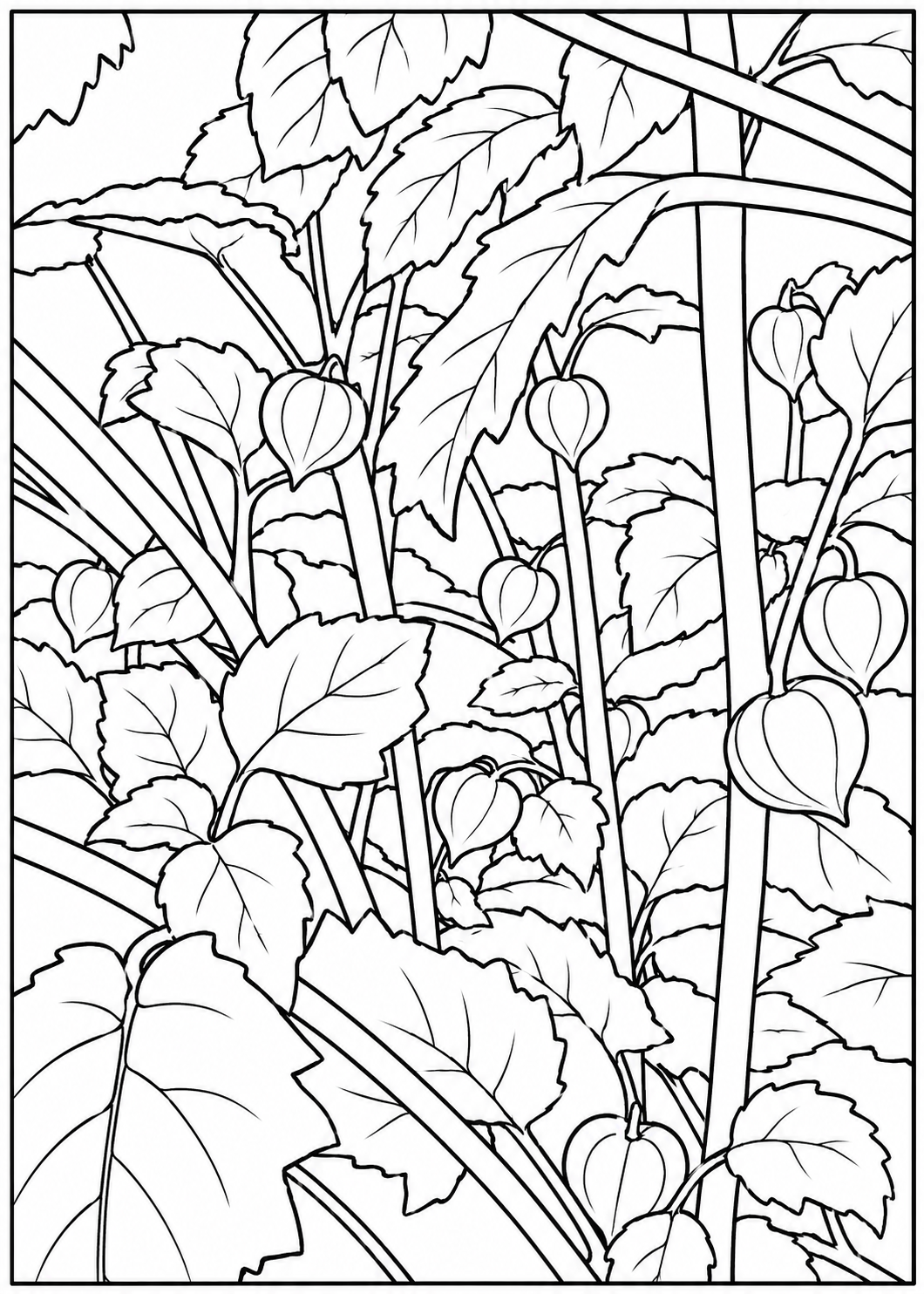 Coloring Card - #22 "Ground Cherry" - FREE WITH ANY ORDER