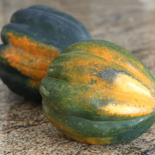 Acorn Squash