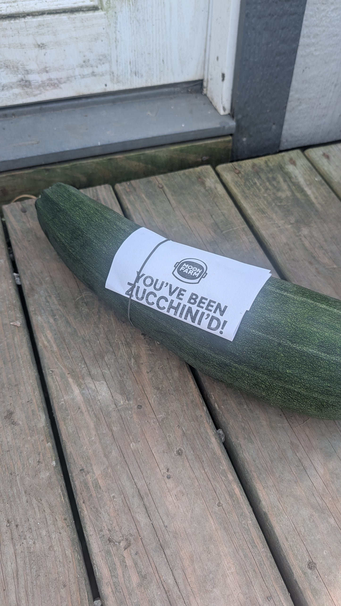 Celebrate "Sneak-Some-Zucchini on Your Neighbor's-Porch" Day August 8th! Free with any delivery!