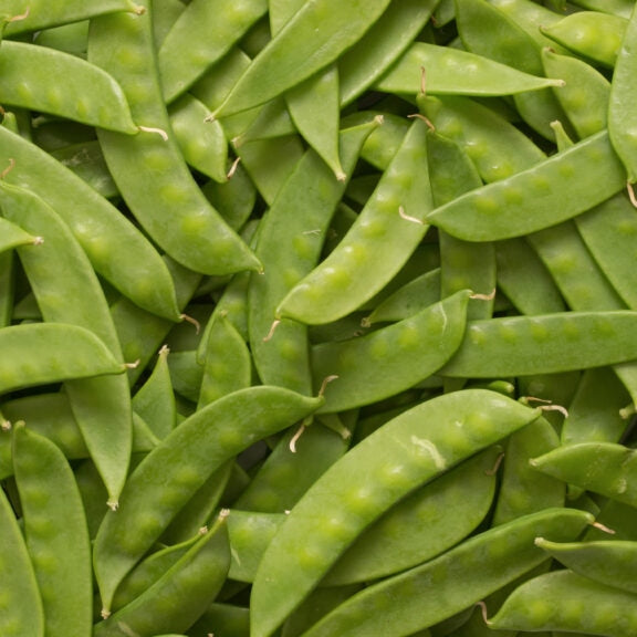 Snow Pea - 1 Pt