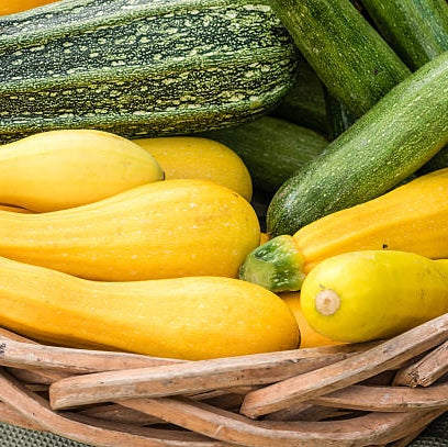 Squash and Zucchini - 1 medium/2 small