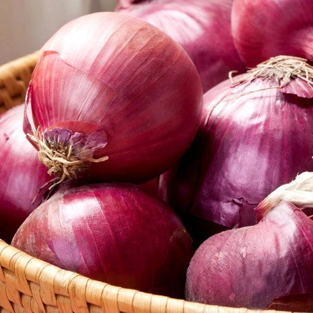 2 Onions - Red/Spanish